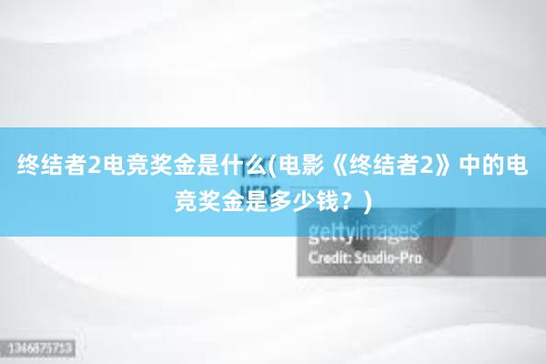 终结者2电竞奖金是什么(电影《终结者2》中的电竞奖金是多少钱？)