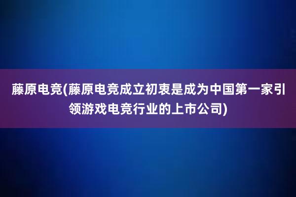 藤原电竞(藤原电竞成立初衷是成为中国第一家引领游戏电竞行业的上市公司)