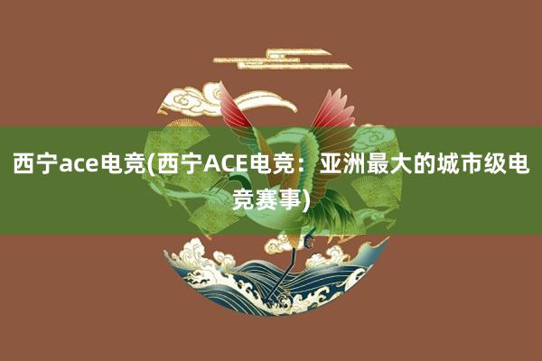 西宁ace电竞(西宁ACE电竞：亚洲最大的城市级电竞赛事)