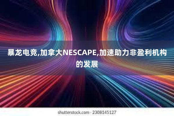 暴龙电竞,加拿大NESCAPE,加速助力非盈利机构的发展