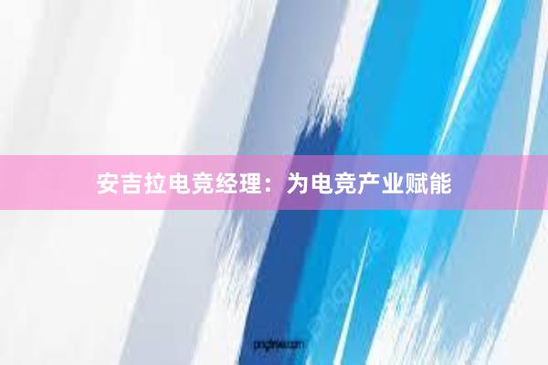 安吉拉电竞经理：为电竞产业赋能