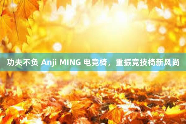 功夫不负 Anji MING 电竞椅，重振竞技椅新风尚