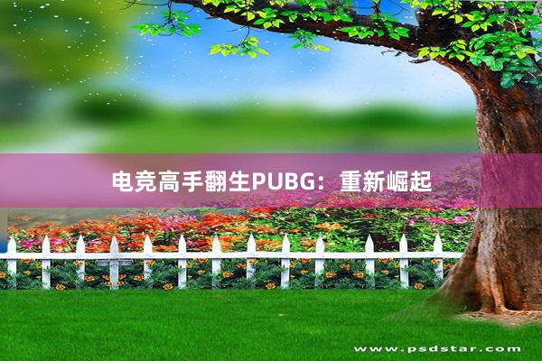 电竞高手翻生PUBG：重新崛起