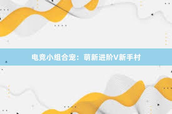 电竞小组合宠：萌新进阶V新手村