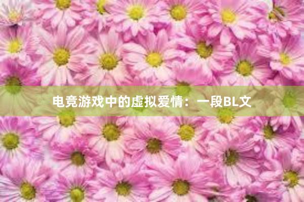 电竞游戏中的虚拟爱情：一段BL文