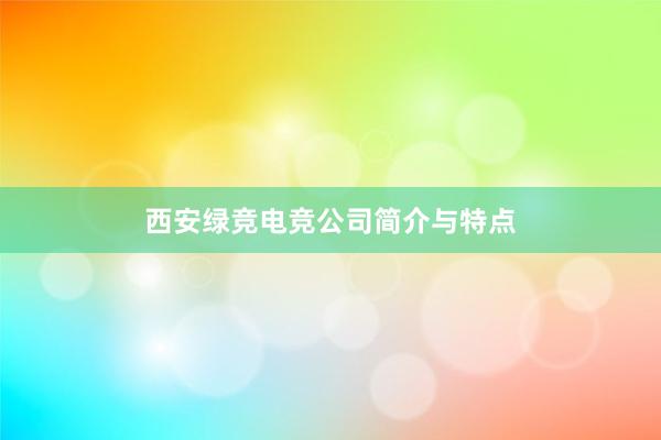 西安绿竞电竞公司简介与特点