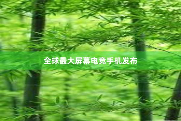 全球最大屏幕电竞手机发布