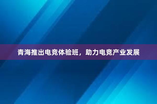 青海推出电竞体验班，助力电竞产业发展